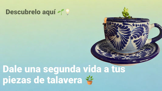 ¿Qué hacer cuando una pieza de Talavera se rompe? Dale nueva vida convirtiéndola en maceta