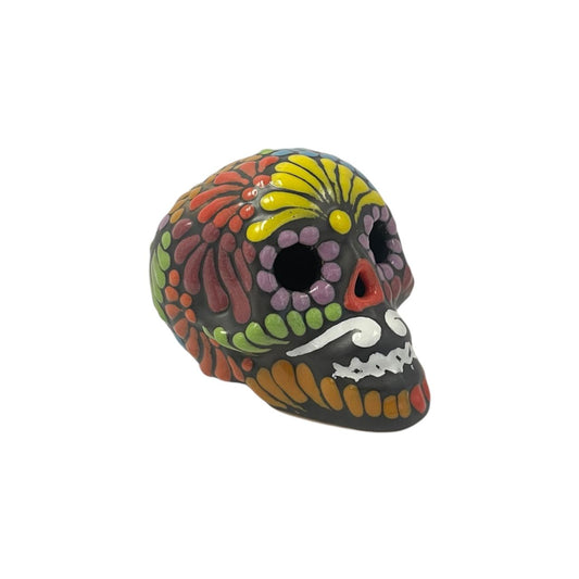 Cráneo (Multicolor)